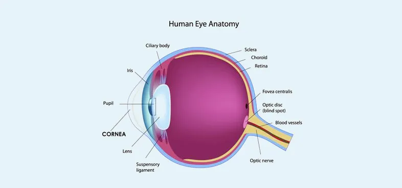 eye hospital